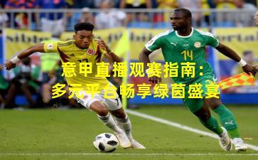 意甲直播观赛指南:多元平台畅享绿茵盛宴